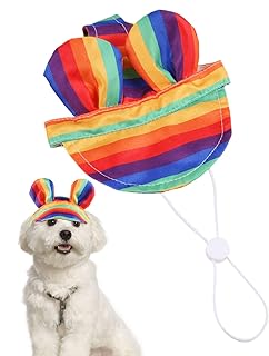 Colorful Pet Sun Hat